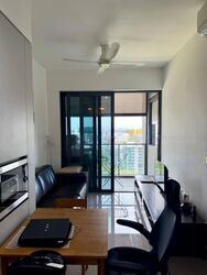 Parc Clematis (D5), Apartment #456090981